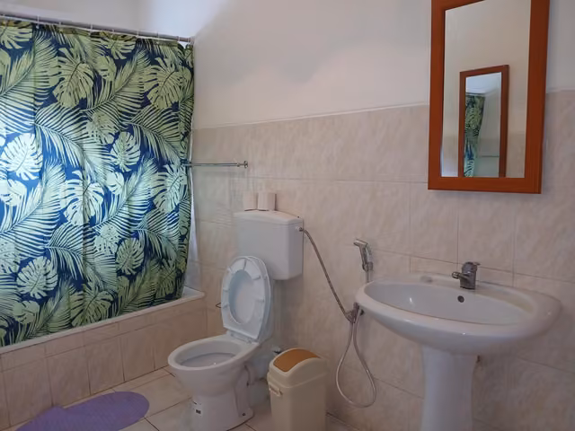 Bagno privato con WC e lavandino di una camera della Romana Guest House a Ostia